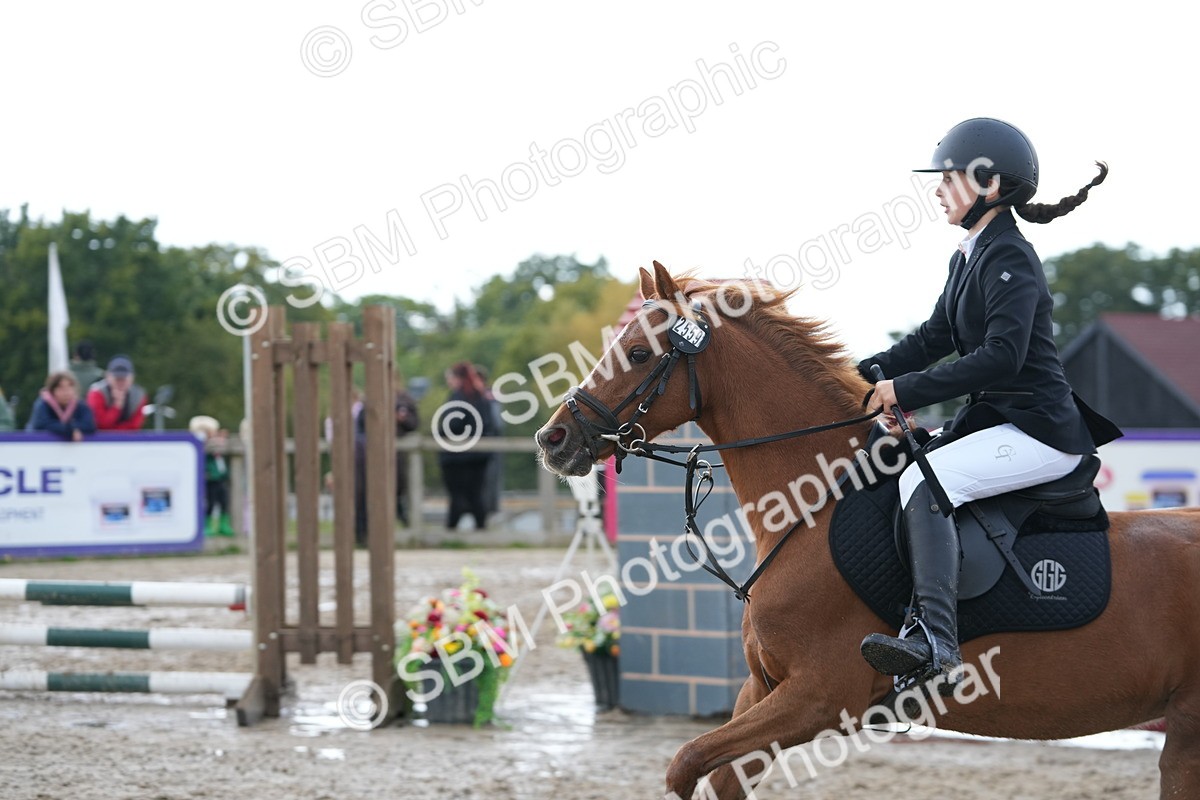 SBM_40017 - J6 - Junior Pony 55cm Championship