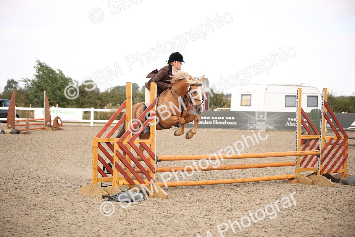 SBM_16000 - Class 408b - Working Veteran 70cm (20+)