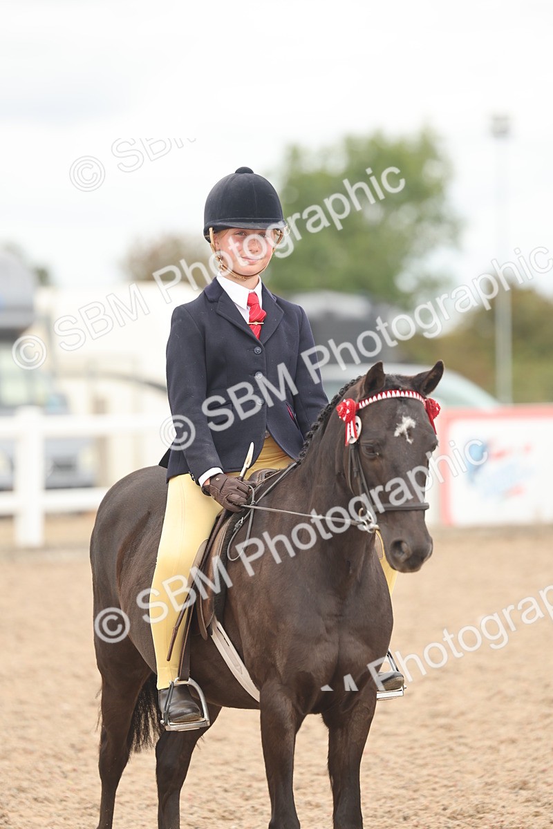 SBM_16040 - Class 311 - Ridden Show pony-Show hunter Pony