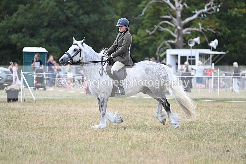 WJ7_5038 - Class 12 Ridden Cob