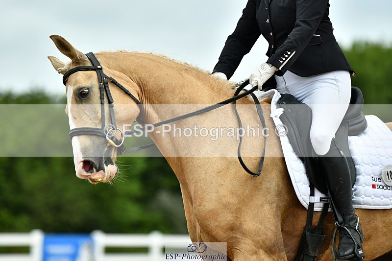 230702A-122256-09604 - Cls 28 Elementary 45