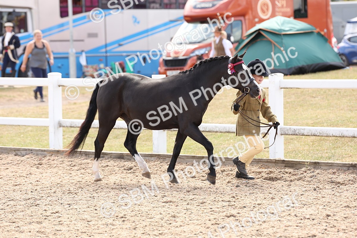 SBM_15048 - Class 209 - IH Veteran Pony