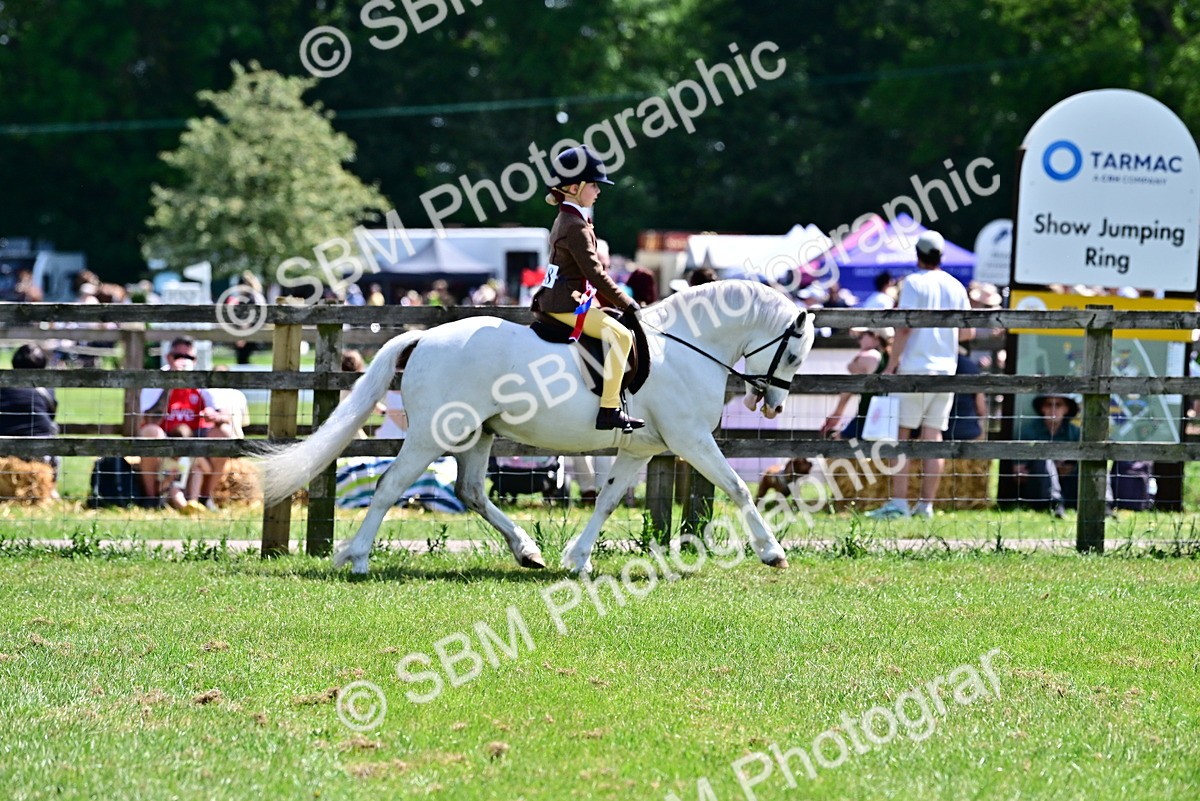 SBM_06465 - Class 59-60 - TSR M&M  Lear Rein and First Ridden Amateur of the year