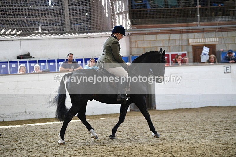 WJ5_6077 - Class 9 Ridden Veteran