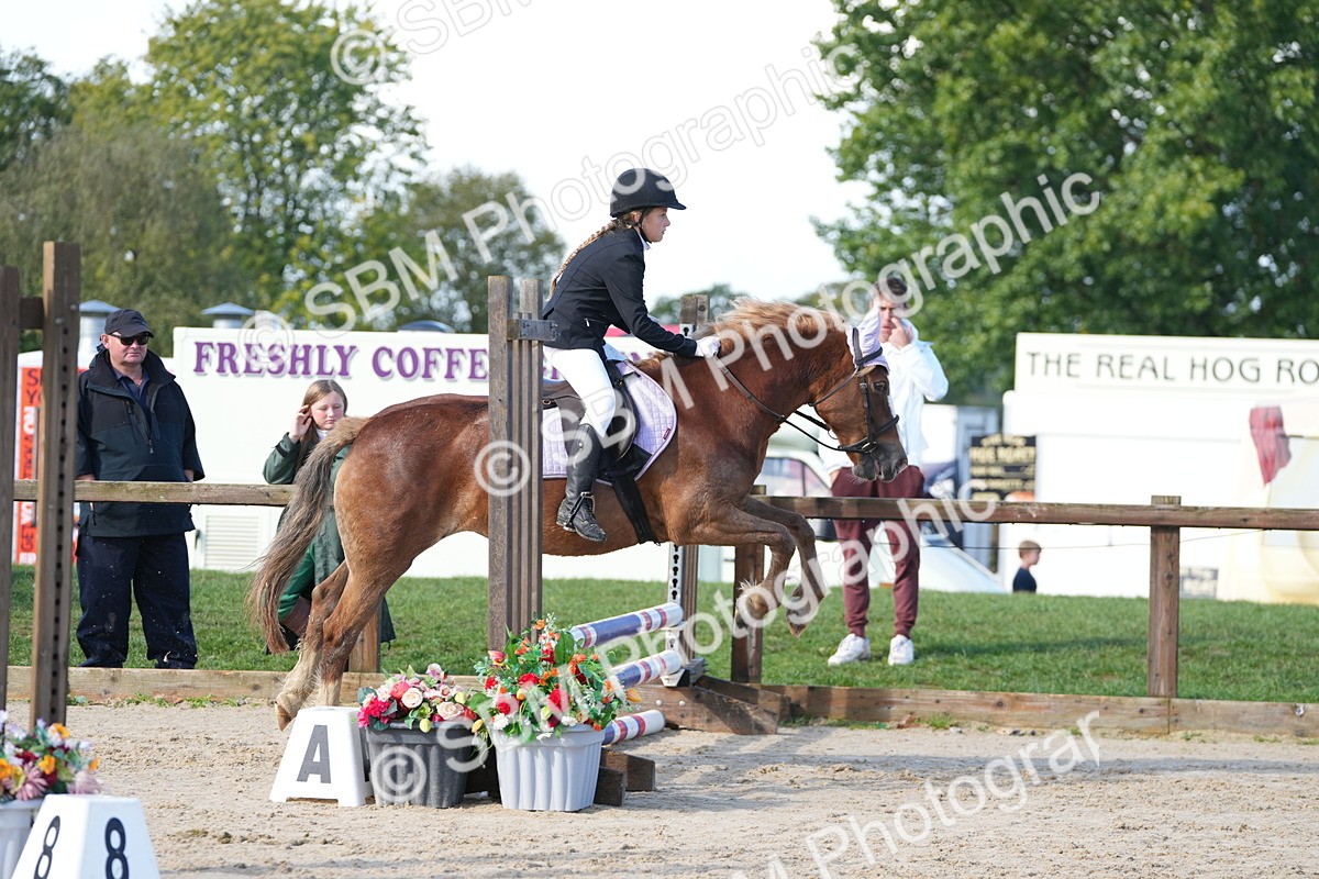 SBM_38252 - J6 - Junior Pony 55cm Championship