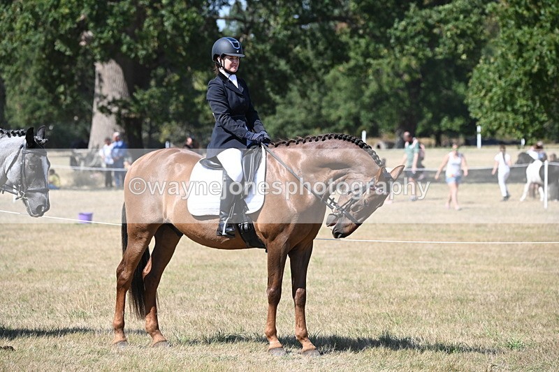 WJ6_9119 - Championship Classes 33-38