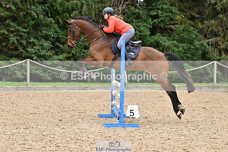 250201A-121845-00642 - Cls 02 Local Horse 100cm