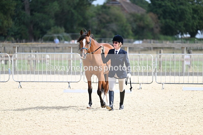 WJ7_1768 - In Hand