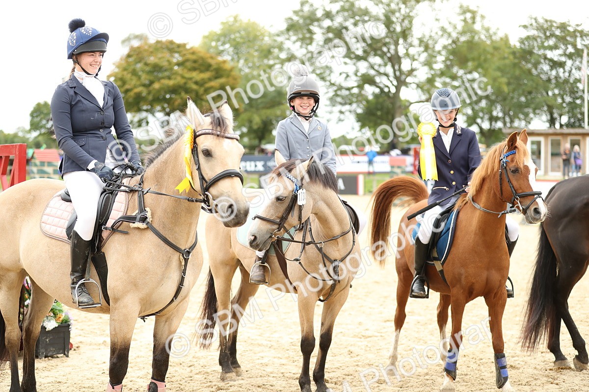 SBM_66070 - J48 - Pairs Jumping Open 70cm & 85cm