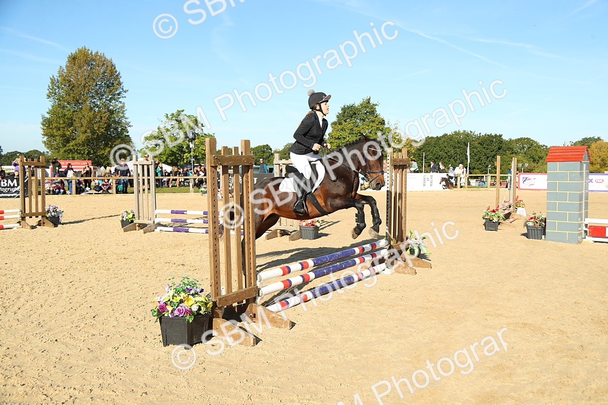 SBM_35805 - J5 - Junior Pony 50cm Championship