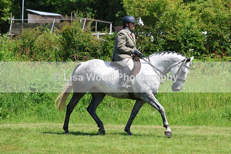 3E7A8210 - Class 13: Ridden Hunter