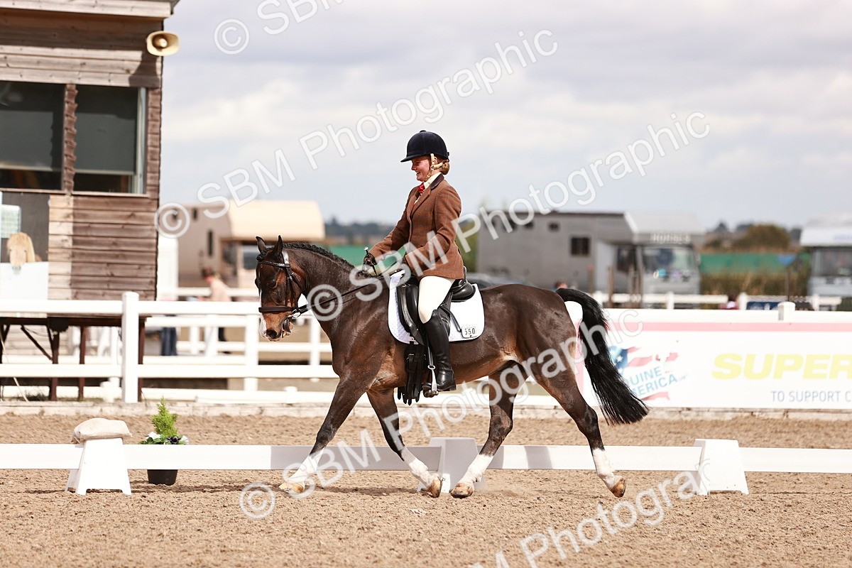 SBM_06223 - Class 37 - Novice 5