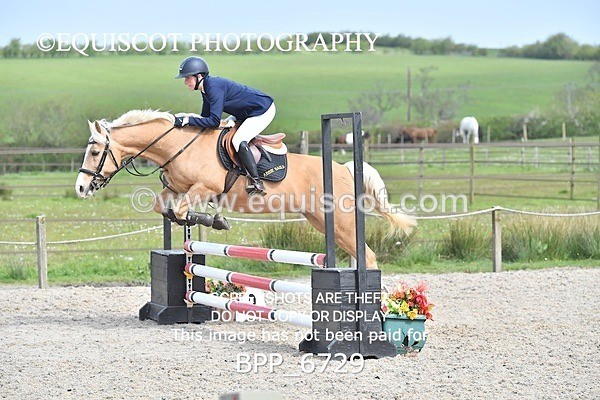 BPP_6729 - CLASS 2 FRI Club/ Unaffiliated 80cms Open