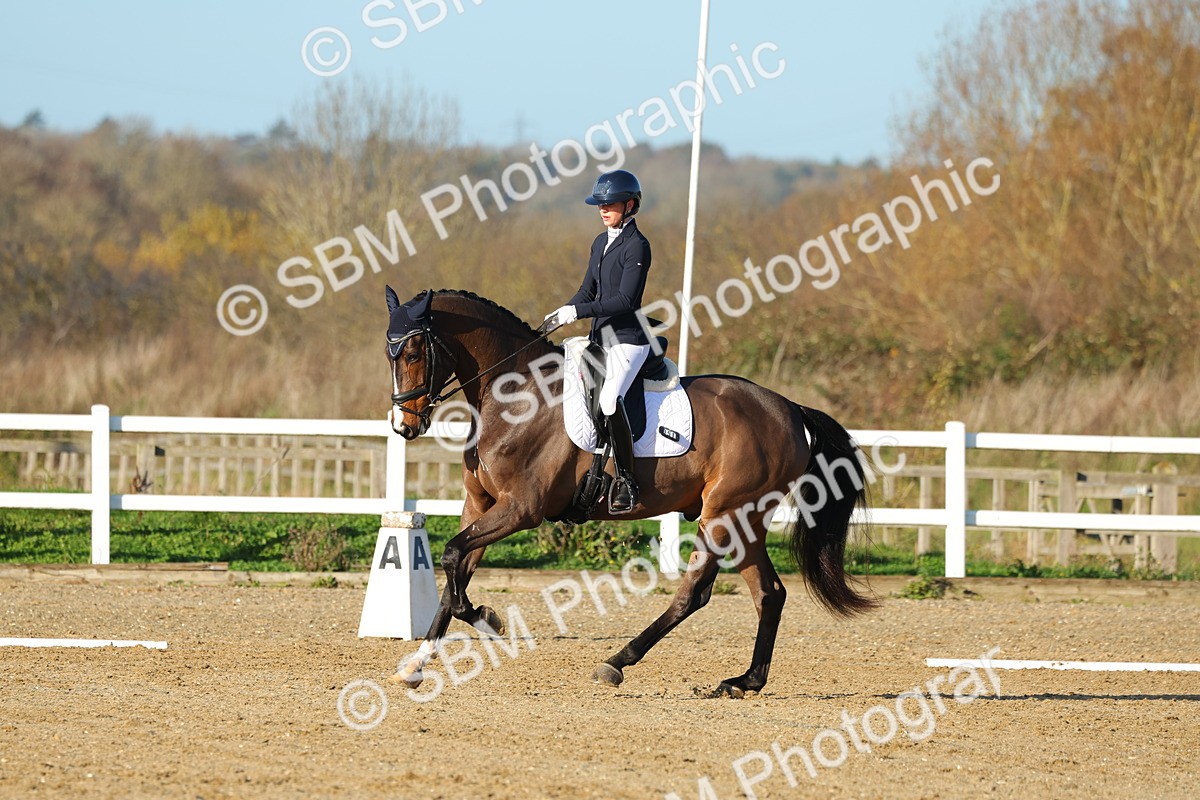 1I0A4645 - Class 5 - Novice 5