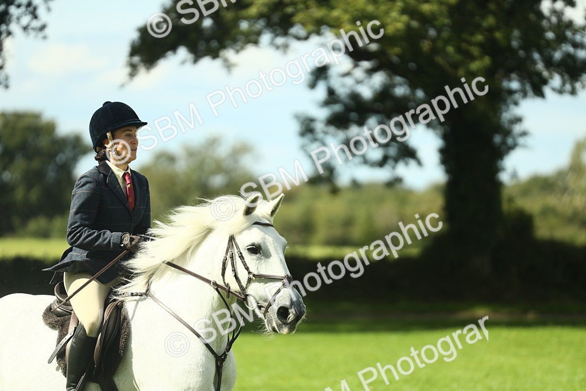 SBM_42927 - S30 - M&M Working hunter Pony