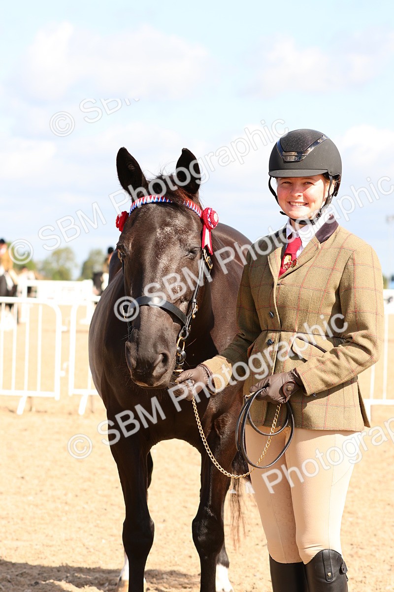 SBM_11726 - Class 208 - IH Veteran Horse