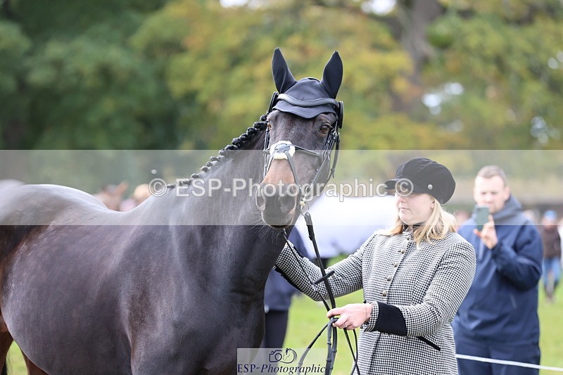 251026A-120301-25849 - G-519-Amy.Miller