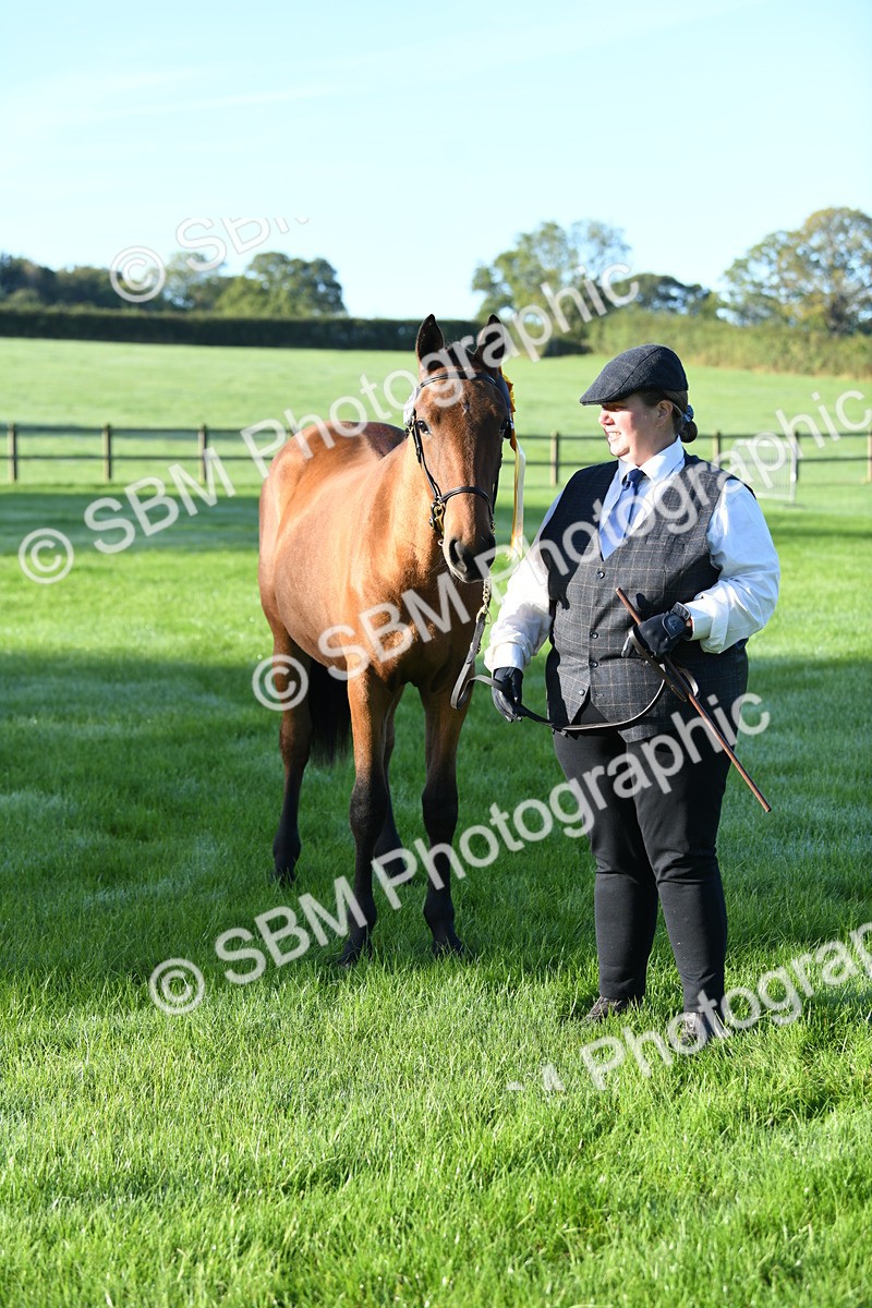 SBM_32853 - S15 - Condition & Turnout In Hand
