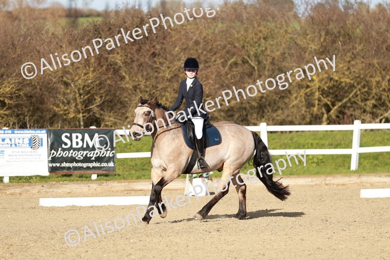 20260314-5381 - DR4 - Prelim 2