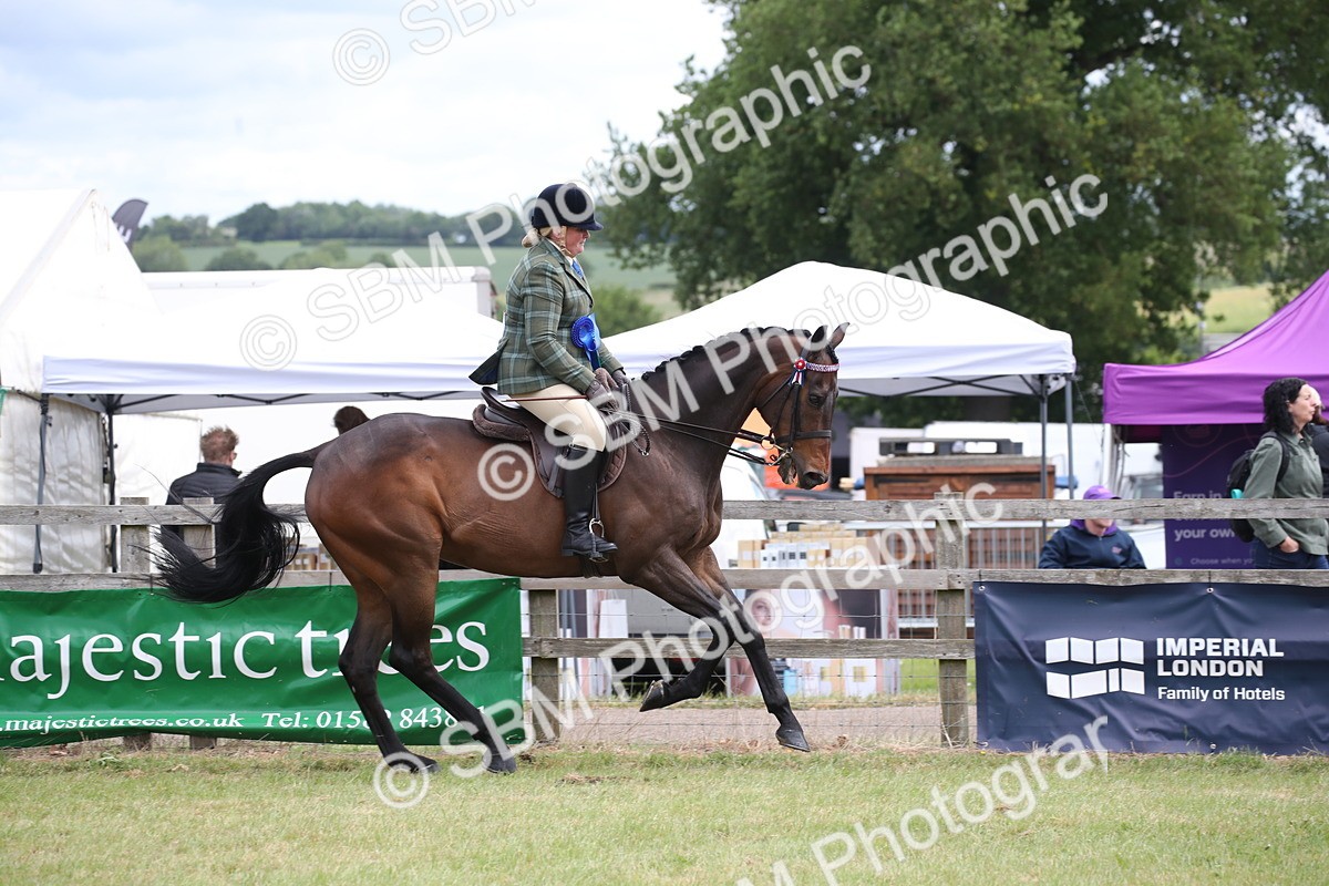 SBM_14260 - Class 113-114 - Retraining of Racehorses Ridden