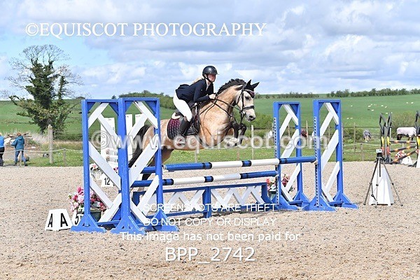 BPP_2742 - FRI CLASS 4 95CM AM CHAMP QUAL