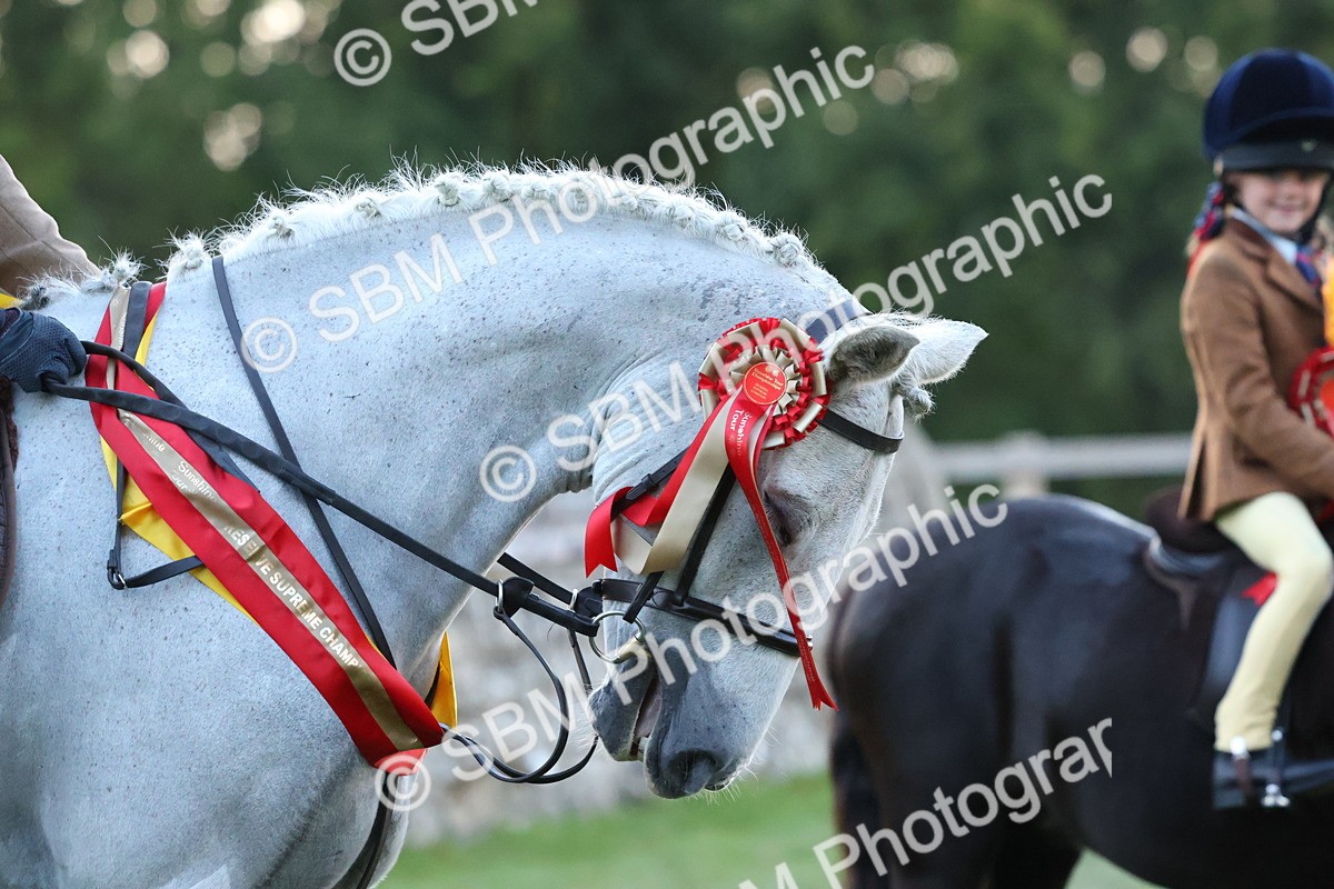 SBM_53444 - Super Supreme Championship (Sat)