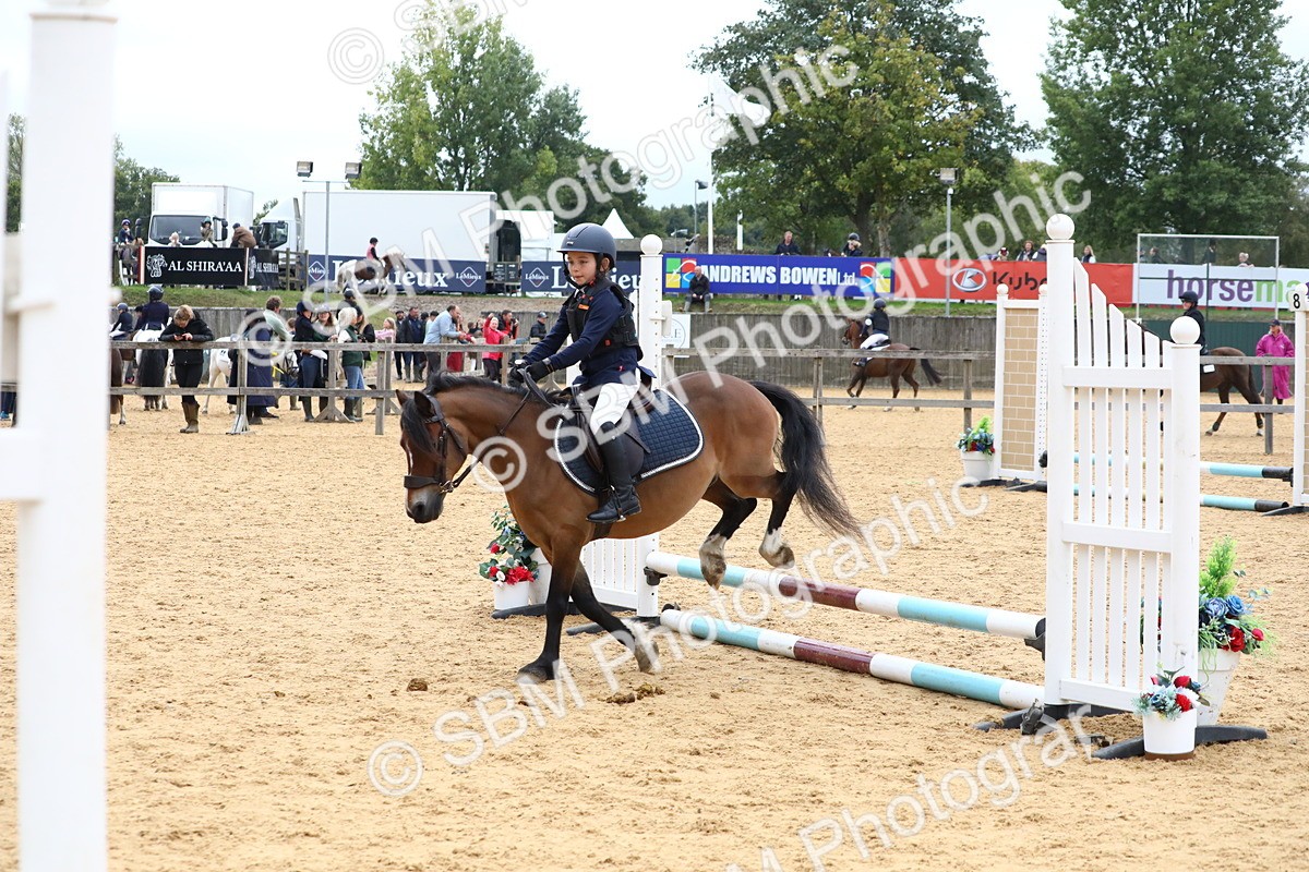 SBM_68236 - J3b - Mini Tour Junior Pony 40cm Championship