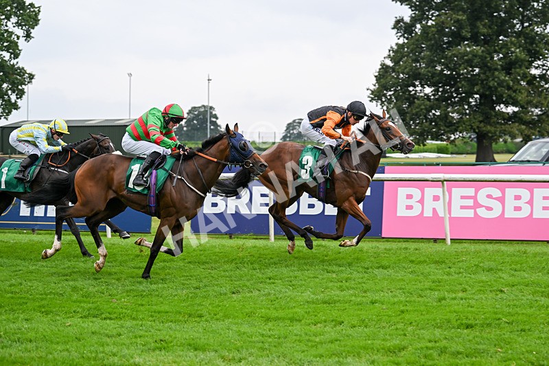 070924-Race 2-Cymbidium-7168 - Race 2