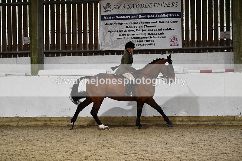 WJ5_8870 - Class 15 Ridden Show Horse