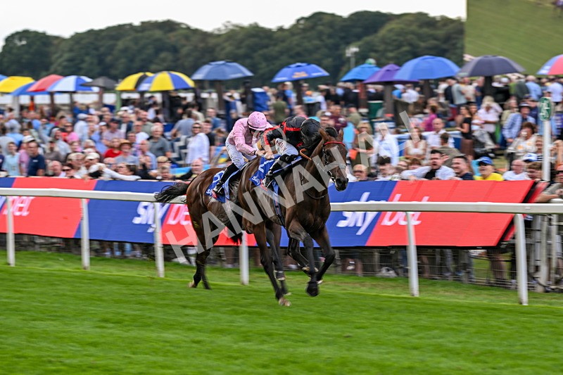 190826-Race 3-Maltese Cross-1055 - Race 3 15.00pm Sky Bet Great Voltigeur Stakes