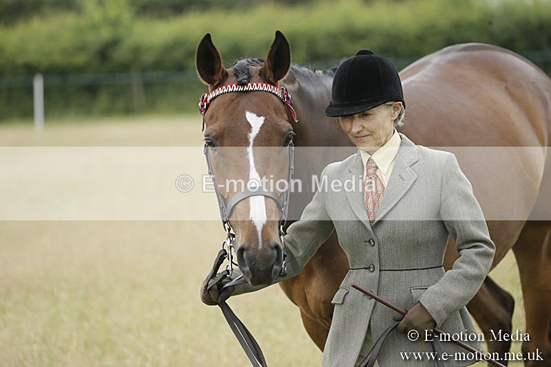 B230619-0226 - Bourne Valley Riding Club Summer Show 23/06/19