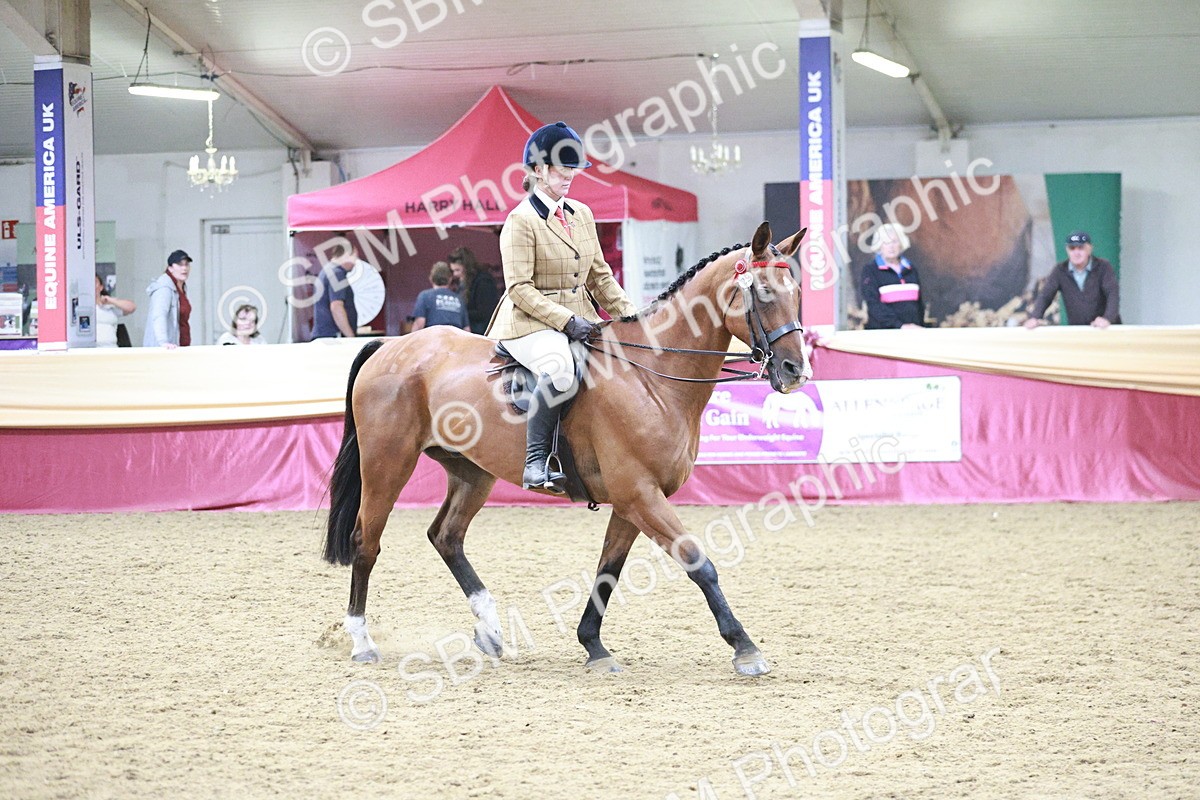 SBM_08184 - Class 11R - Regional Ridden Veteran