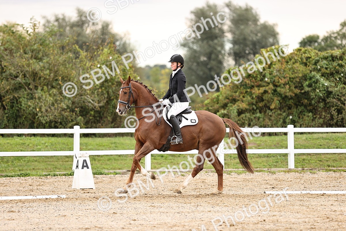 SBM_000550 - Prelim 3