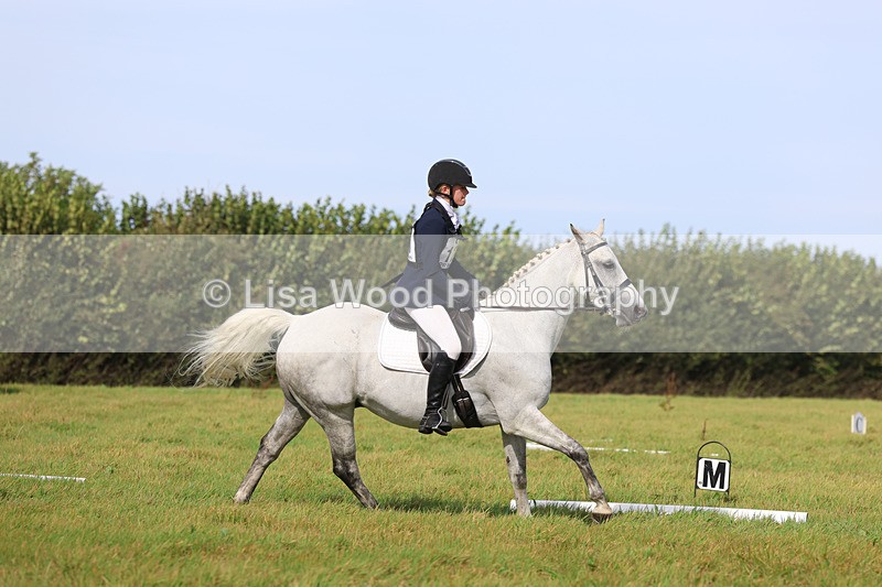 3E7A6312 - Class 1: Trebudannon Open: Dressage (Part 2)