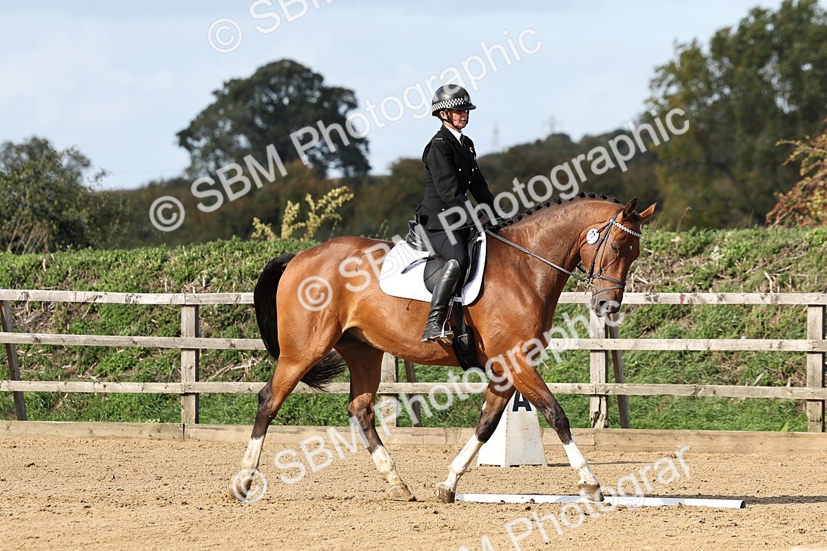 SBM_002252 - Class 50 - Novice 1