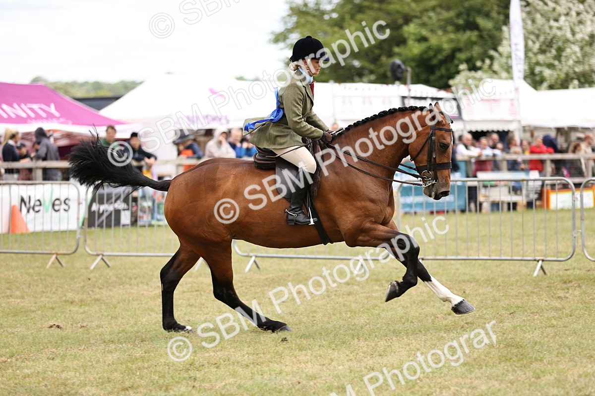 SBM_14815 - Class 88-89 - LIHS BSHA Rising Star of Ridden Hunter Type