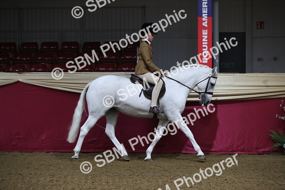 SBM_09249 - Class 101 Equitation (best rider), Junior