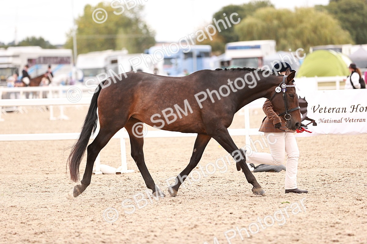 SBM_16376 - Class 413 - Best Condition - Adult