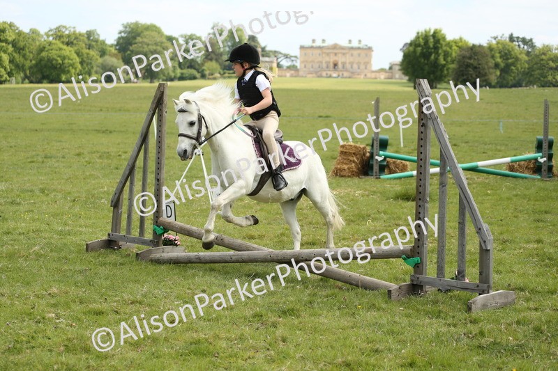 20250517-3025 - Class 25 - Horse & Hound