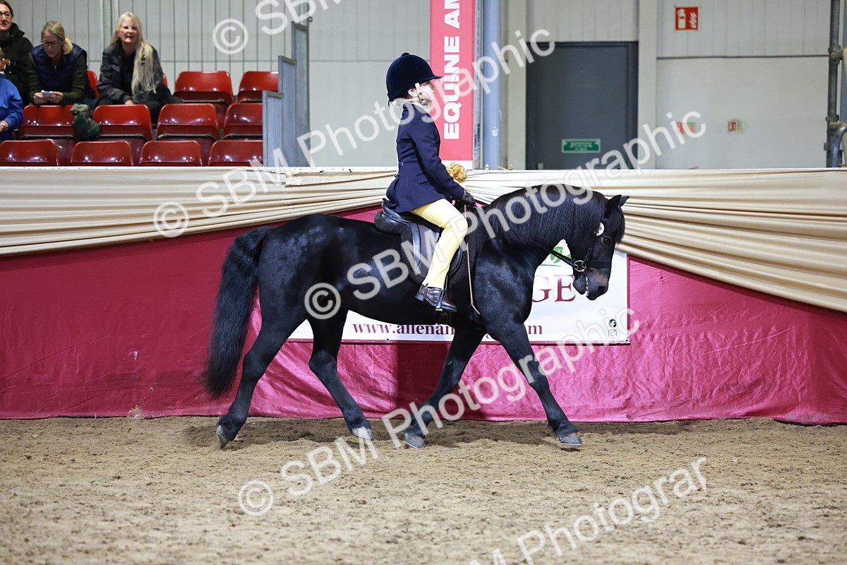 SBM_20552 - Class H - IH Competition - Riding Club champ