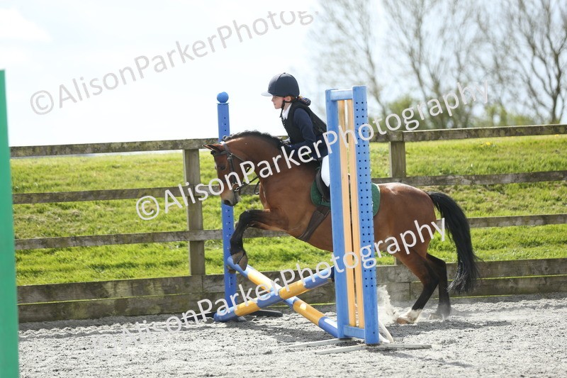20260412-0750 - Show Jumping