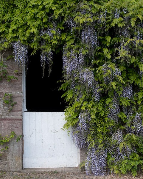  - Dabton Gardens