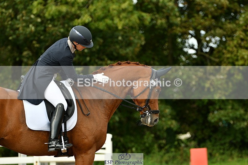 230912A-163345-01804 - Cls 18 FEI PSG