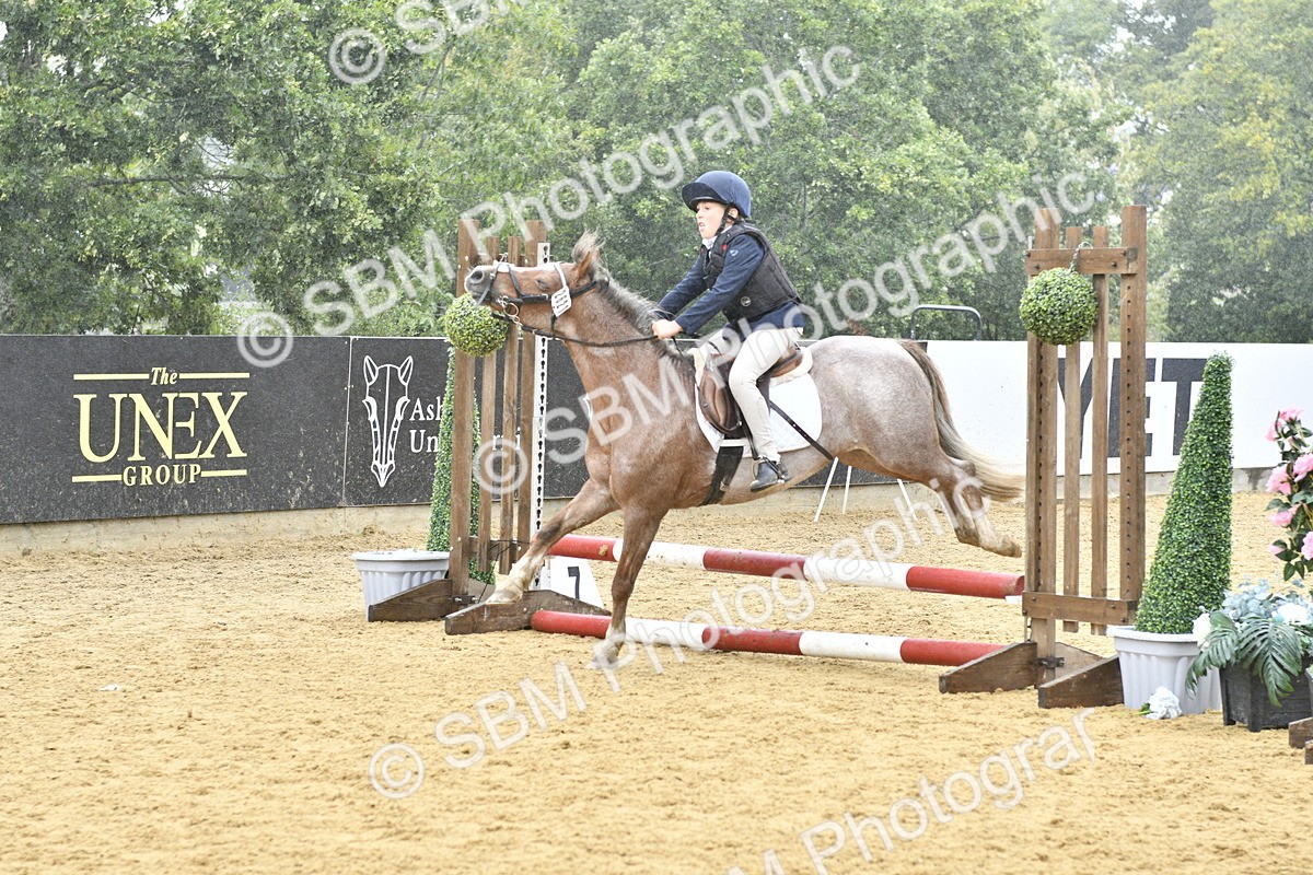 SBM_70978 - J3 - Mini Tour Junior Pony 40cm championship