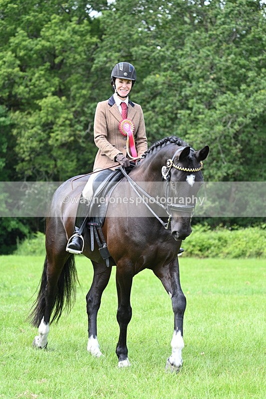WJ7_1625 - Class 11 Condition & Turnout
