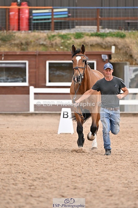 250716-145753-01549 - Trot Up 2.30 to 3.30