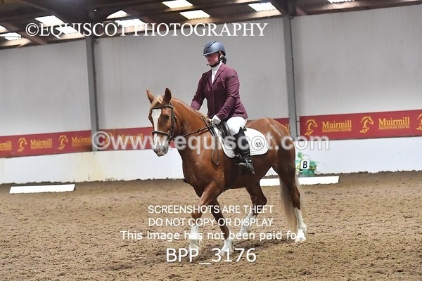 BPP_3176 - INTRO TEST 3