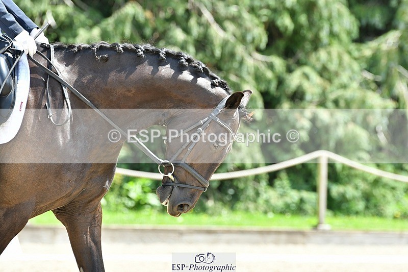 230623-134144-00822 - Cls 5 Elementary 43