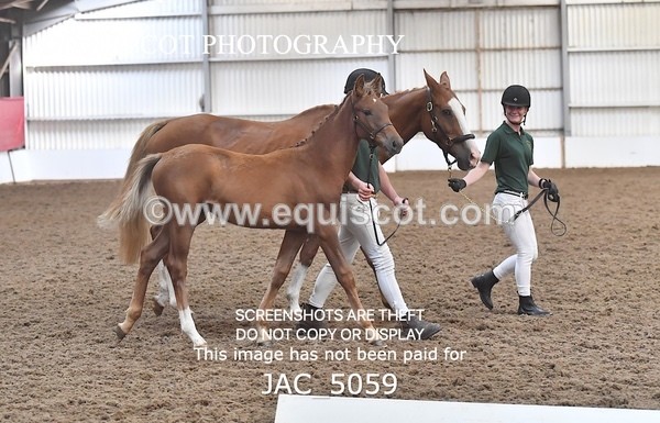 JAC_5059 - 9 Zinzipan