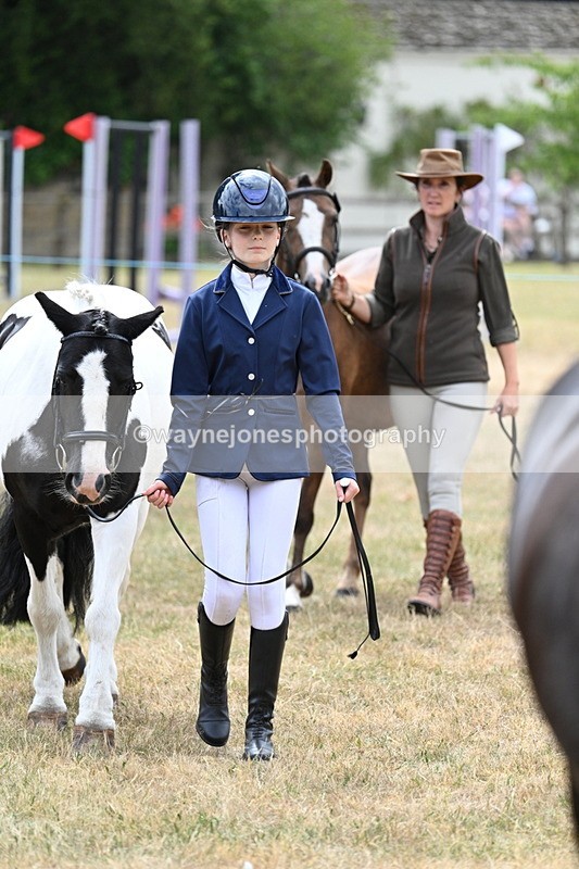 WJ7_1403 - Class 4 Prettiest Mare up to 14.2hh in hand